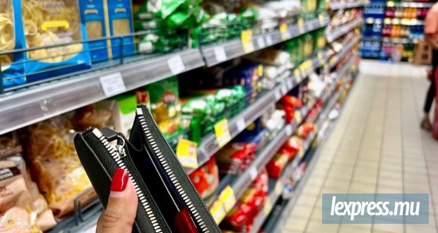 Consommation des ménages : «pri monte, pos plat»