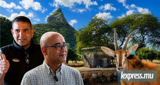 Casela dévoile une nouvelle expérience au lever du soleil