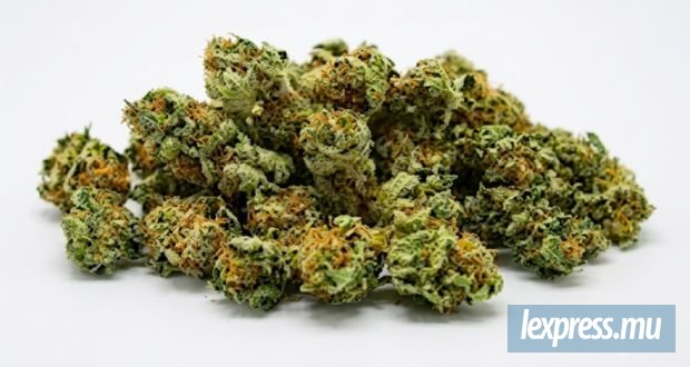Un garde-chiourme arrêté avec près de 41 grammes de cannabis