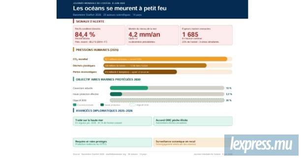 Les océans se meurent à petit feu : le baromètre Starfish tire la sonnette d'alarme