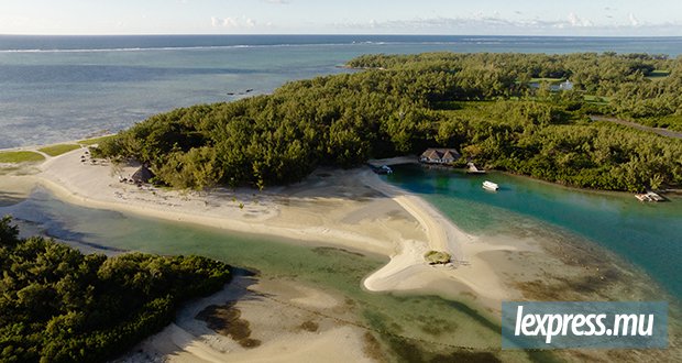 Île aux Cerfs : la restauration écologique débute