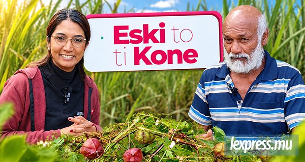 «Dan enn karo kann, pena zis kann»