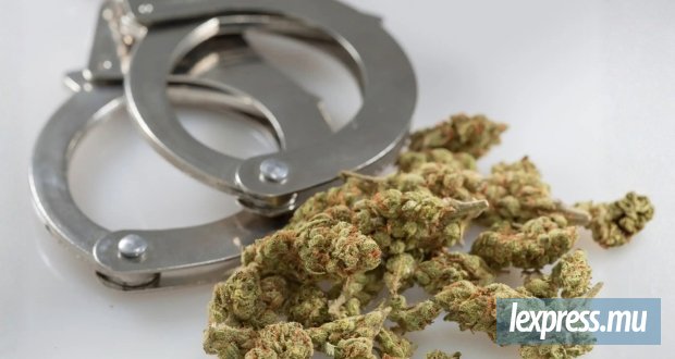 Rs 3,6 millions de cannabinoïdes synthétiques saisis, un peintre arrêté