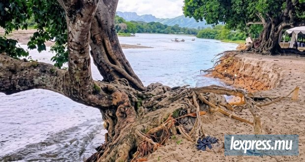Environnement : Des milliards, des promesses et quelques questions