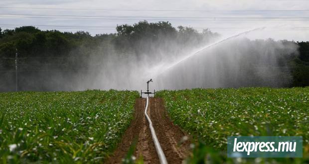 Et si l’eau qu’on jette devenait la solution de demain ?