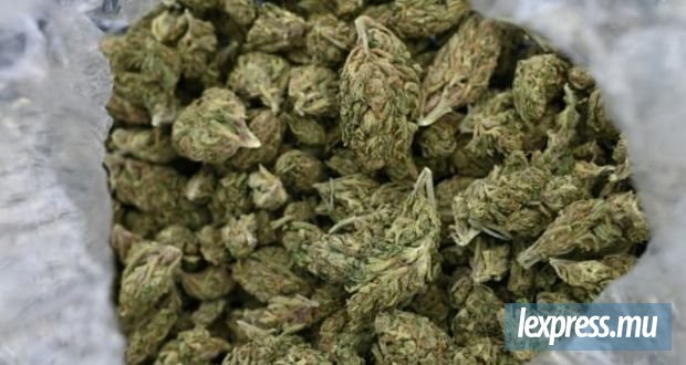 102 grammes de cannabis saisis : Un collégien de 18 ans arrêté