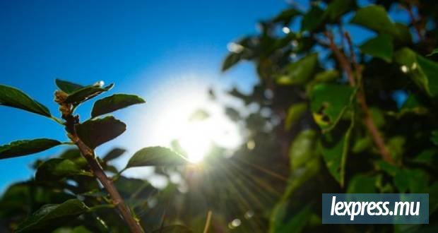 Matinée ensoleillée, quelques averses attendues cet après-midi