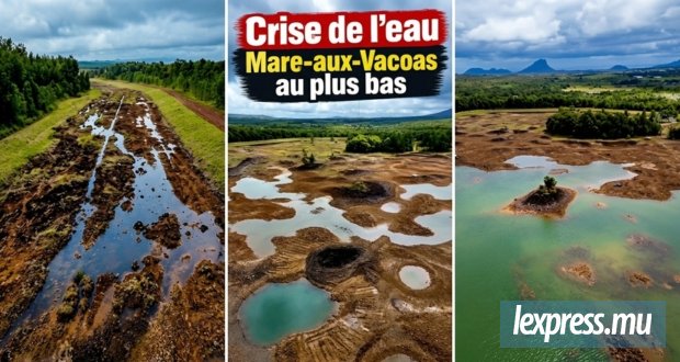 Mare-aux-Vacoas au plus bas