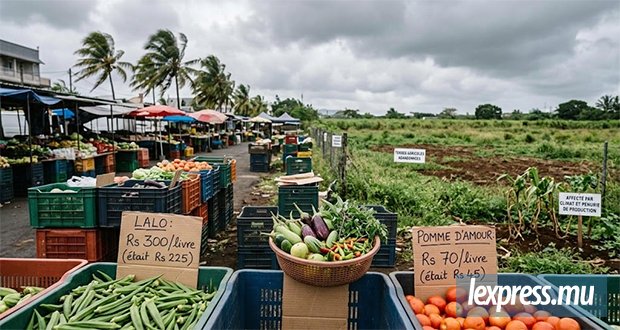 Le froid et les vents soutenus font grimper les prix des légumes