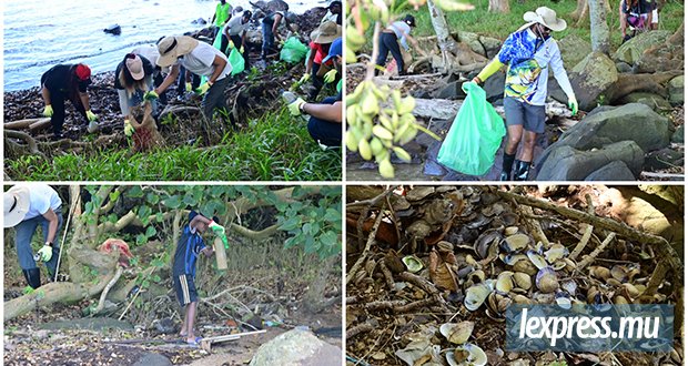 Rivière-des-Créoles : la mangrove face à l’urgence plastique
