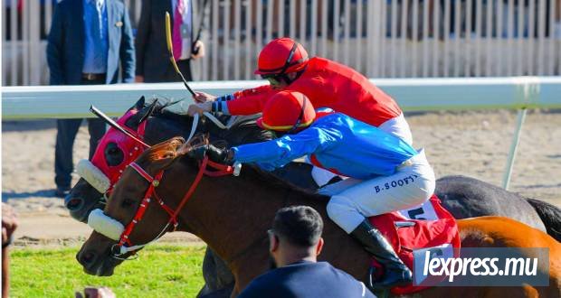 Championnat des 3 ans : Ashikule s’offre la première manche