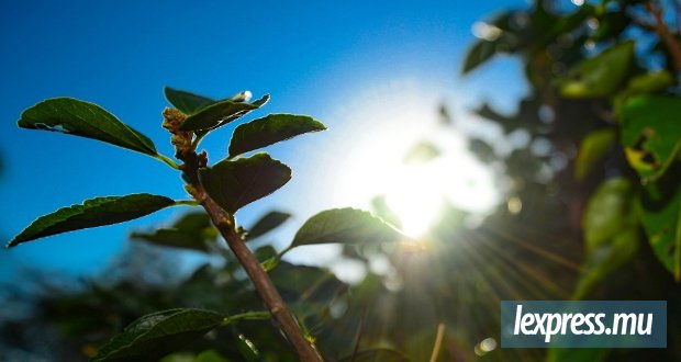 Du soleil ce matin, quelques ondées localisées attendues dans l’après-midi
