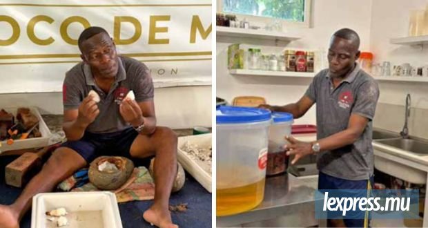 Le coco de mer, l’or rare des Seychelles