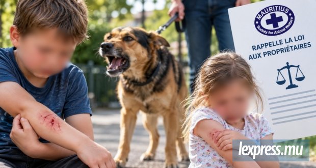 Deux enfants mordues en une journée, la MSAW rappelle la loi aux propriétaires