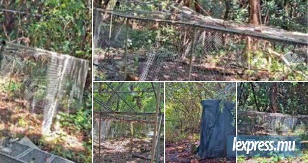 Des pièges à macaques découverts sur des propriétés privées