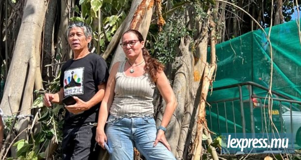 L’abattage stoppé, Percy Yip Tong arrêté, puis libéré