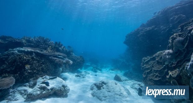 Journée mondiale de l’océan 2026 : Protégeons notre planète bleue