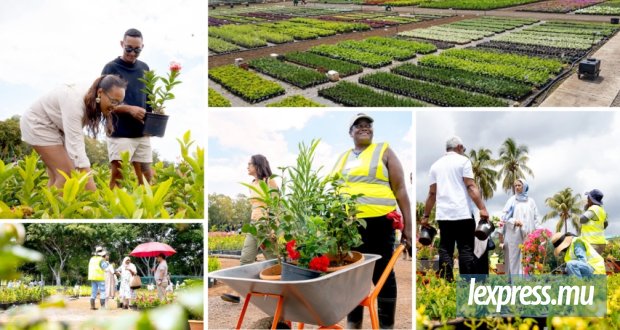 Balade au milieu de 100 000 plantes