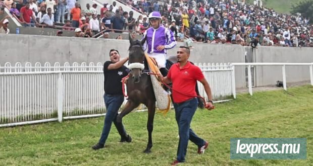Hippisme : Rapidash dans la décontraction