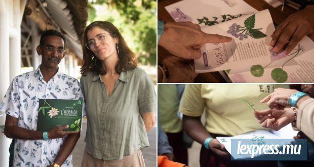 À découvrir : Herbier médicinal pour écolos en herbe