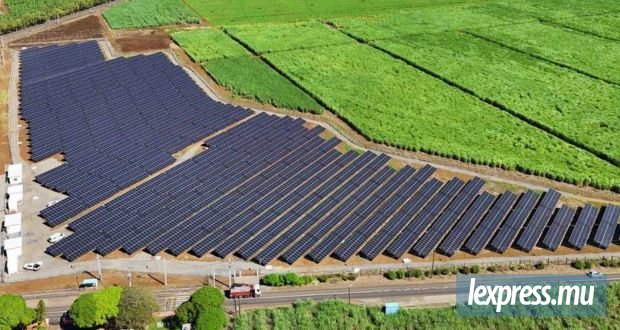 OmniPV1 : une nouvelle centrale solaire et agricole à Poudre-d’Or