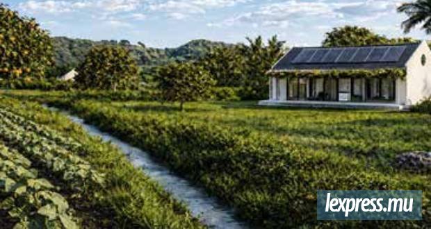 Ferney développe The Orchards, son nouveau projet «farm to fork»