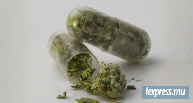 Des cannabinoïdes de synthèse dissimulés dans des produits cosmétiques interceptés