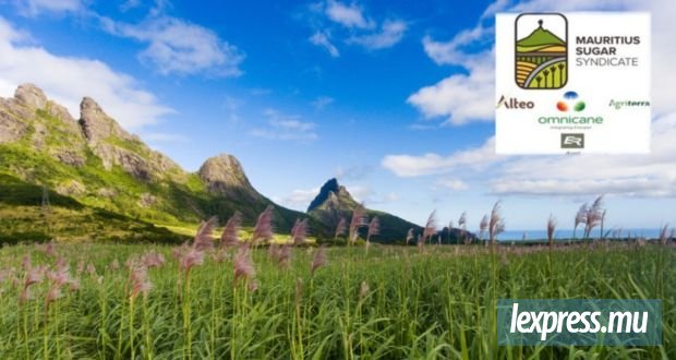 Distinction internationale pour le Mauritius Sugar Syndicate