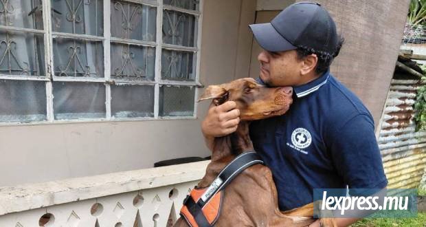 Dobermann amaigri : Une affaire qui relance le débat sur la protection animale