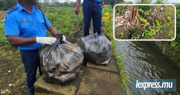 Salazie : des bidons de pesticides abandonnés, la Police de l’environnement intervient