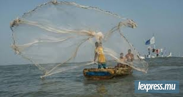 Débarcadères de pêche : État des lieux des 61 infrastructures