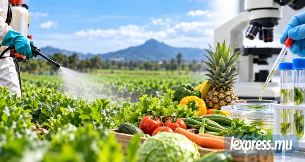Résidus de pesticides : 5 572 échantillons analysés depuis 2018