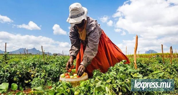 L’intégration du Small Farmers Welfare Fund au FAREI suscite des inquietudes