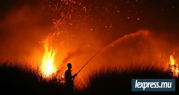 Vers un record climatique aux répercussions mondiales