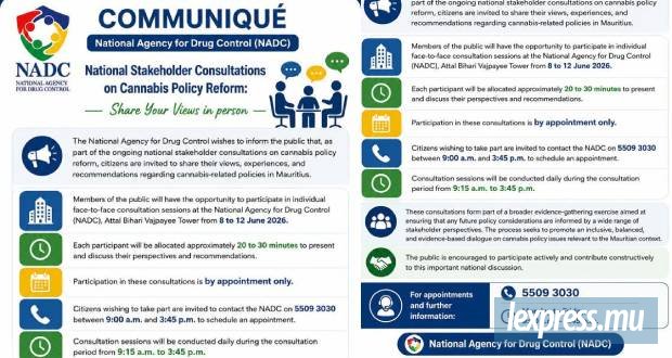 Réforme du cannabis : le public invité à participer aux consultations