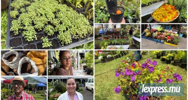 Le domaine des Aubineaux célèbre la passion du végétal