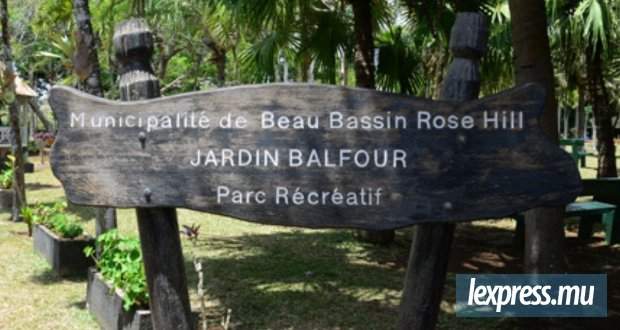 Arts et nature : Et si les arbres avaient une histoire à raconter ?