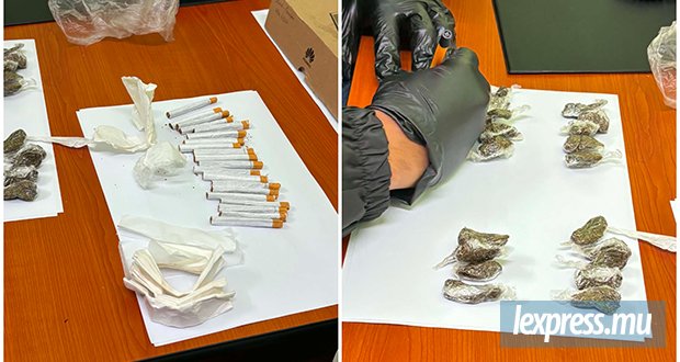 Un ancien «dog handler» rattrapé par la drogue