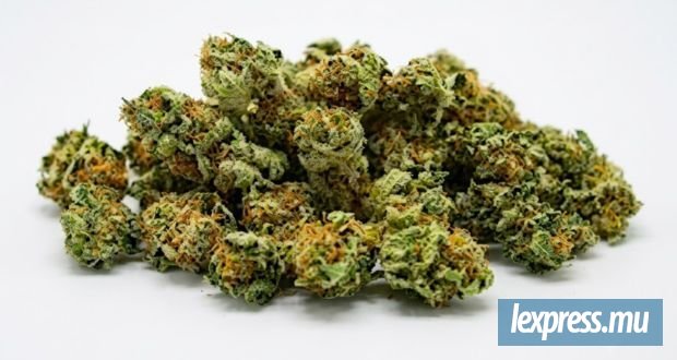 Interception de 12 kilos de cannabis dissimulés dans une table basse