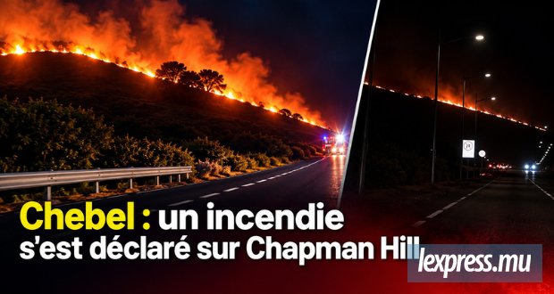 Un incendie s'est déclaré sur Chapman Hill