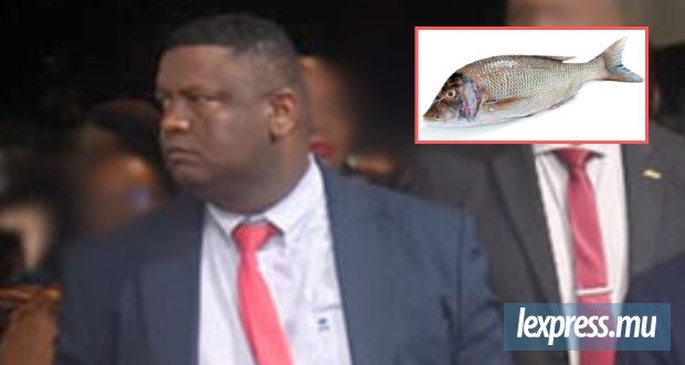 Poisson Capitaine : 800 tonnes, 35 bénéficiaires