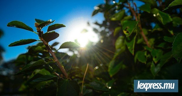 Un temps chaud et quelques averses localisées attendus
