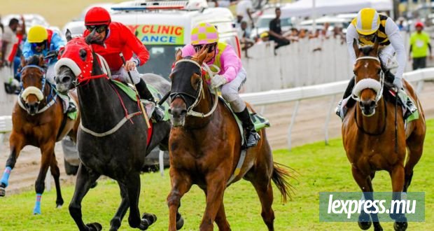 Hippisme : Exalted Love au terme d’un joli finish