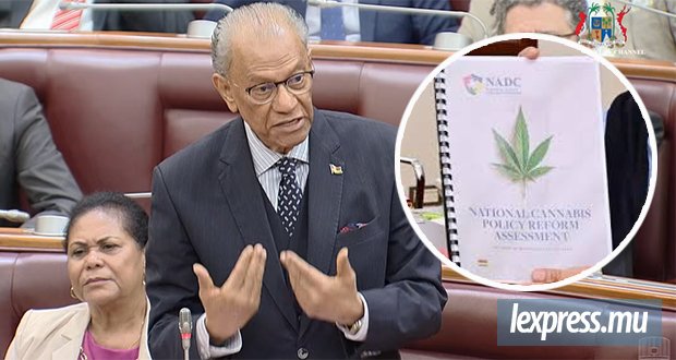 Cannabis : Le rapport finalisé, la décision revient à la «National Drug Control Commission»
