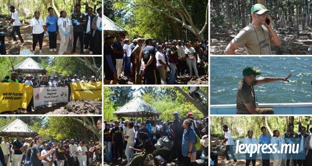 Plus d'une centaine de volontaires mobilisés sur l'Île d'Ambre