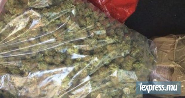 Des graines, de l’herbe et de la résine de cannabis saisies