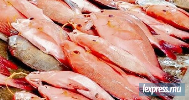 Les importations nourrissent aussi une industrie tournée vers l’export