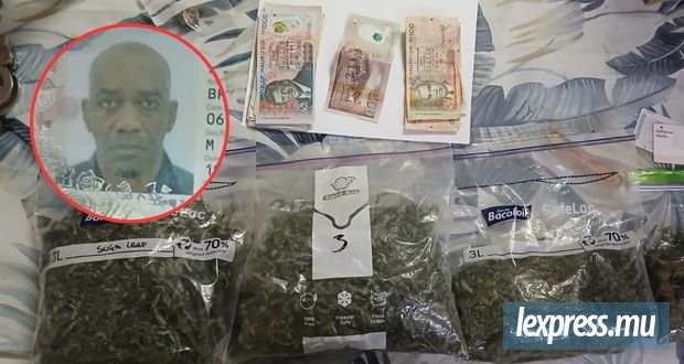 Un Britannique soupçonné d’avoir fait du cannabis son unique activité depuis plus de 20 ans
