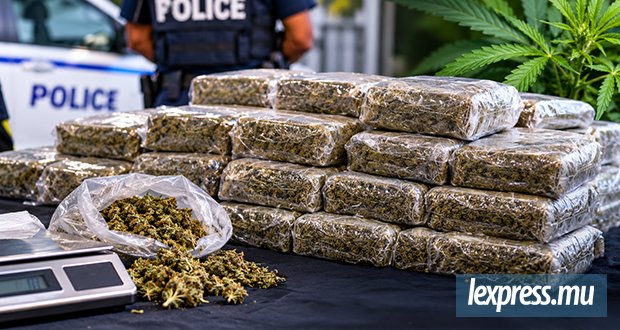 Du cannabis d’une valeur de Rs 3,98 millions saisi