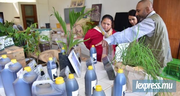 L’essor de l’agri-entrepreneuriat durable